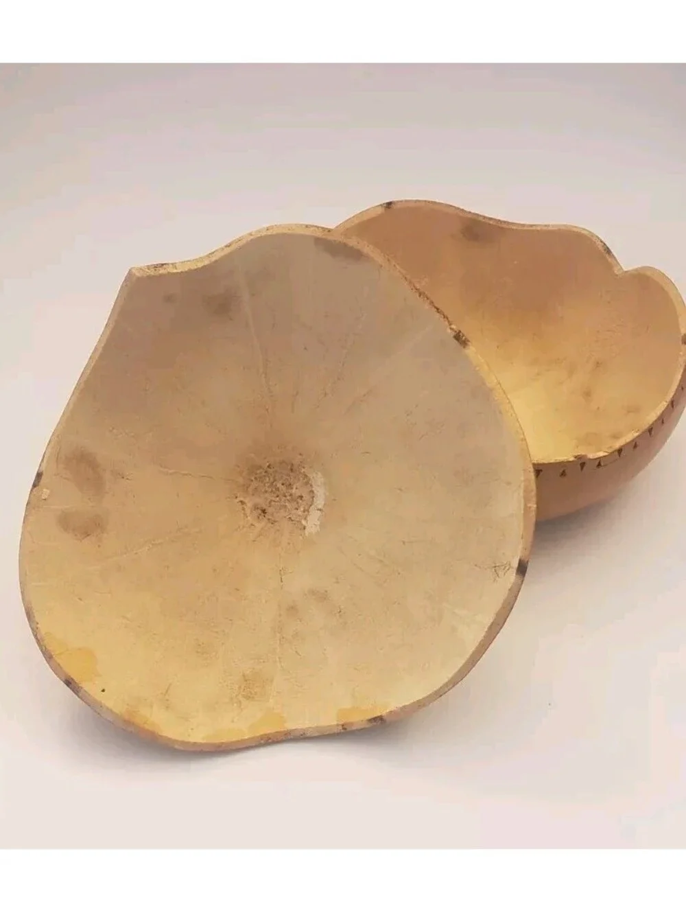 Natural Gourd Carved Dried Canteen Bushel Basket Art Etched Fall Halloween Decor